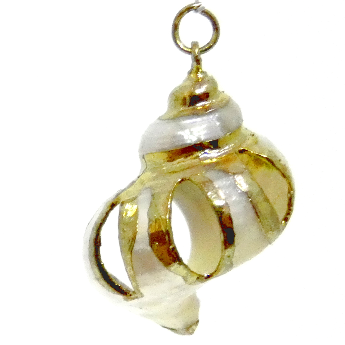 White Spiral Shell with Cut-Outs Gold